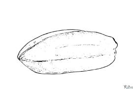 Carom Kolorowanki Do Druku
